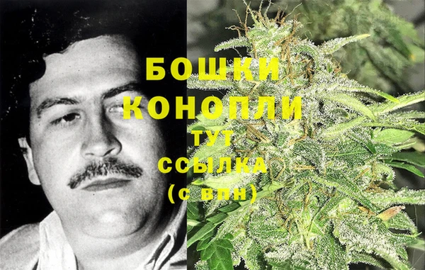ГАЛЛЮЦИНОГЕННЫЕ ГРИБЫ Переславль-Залесский