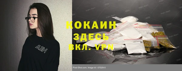 ГАЛЛЮЦИНОГЕННЫЕ ГРИБЫ Переславль-Залесский