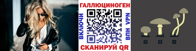 Галлюциногенные грибы мицелий  Сортавала 