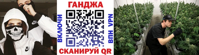 Конопля Bruce Banner  OMG сайт  Сортавала 